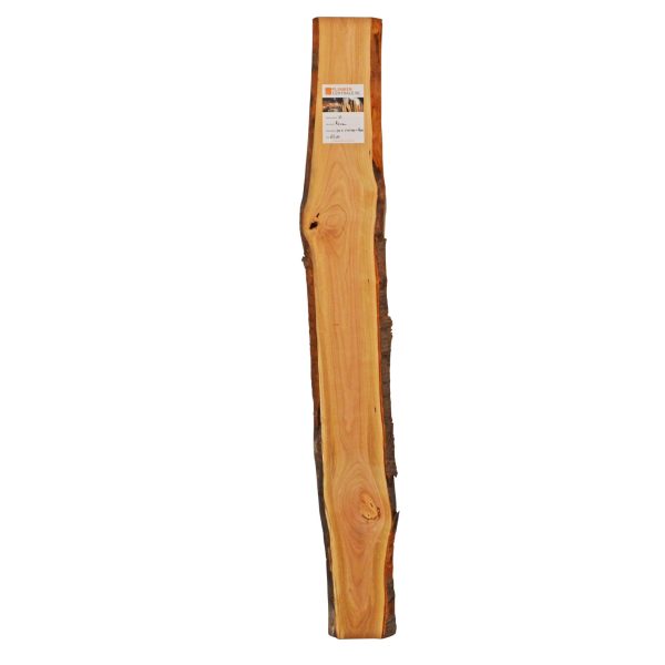 Kersen schaaldeel met noesten, gedroogd, 1990 mm lang