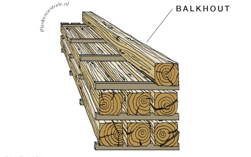 Balkhout - home